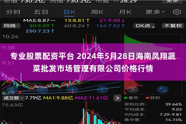 专业股票配资平台 2024年5月28日海南凤翔蔬菜批发市场管理有限公司价格行情