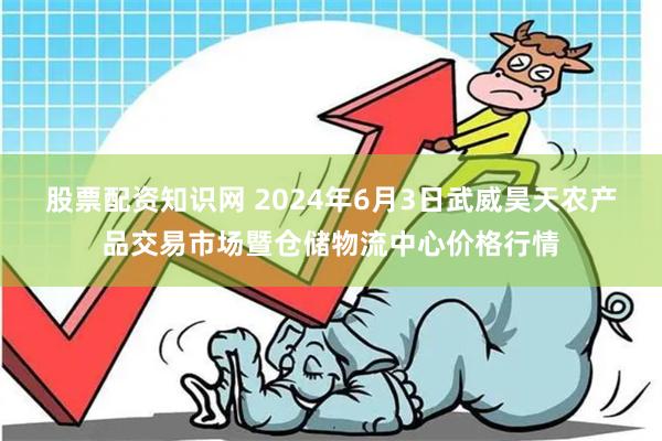 股票配资知识网 2024年6月3日武威昊天农产品交易市场暨仓储物流中心价格行情