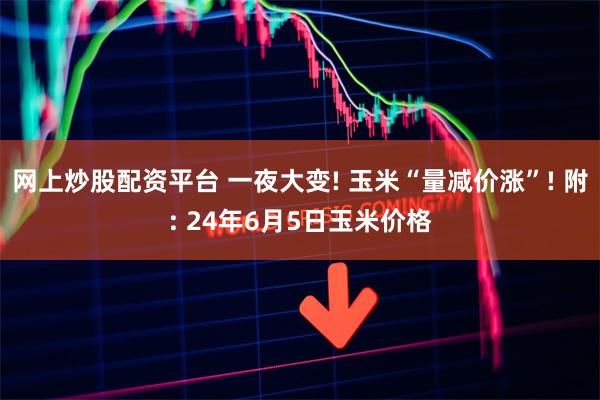 网上炒股配资平台 一夜大变! 玉米“量减价涨”! 附: 24年6月5日玉米价格