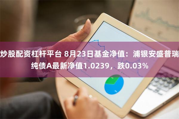 炒股配资杠杆平台 8月23日基金净值：浦银安盛普瑞纯债A最新净值1.0239，跌0.03%