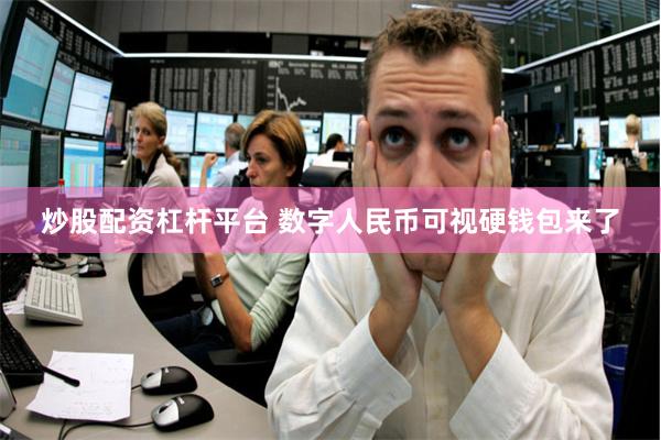 炒股配资杠杆平台 数字人民币可视硬钱包来了