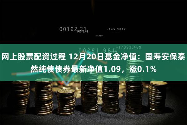 网上股票配资过程 12月20日基金净值：国寿安保泰然纯债债券最新净值1.09，涨0.1%
