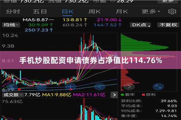 手机炒股配资申请债券占净值比114.76%